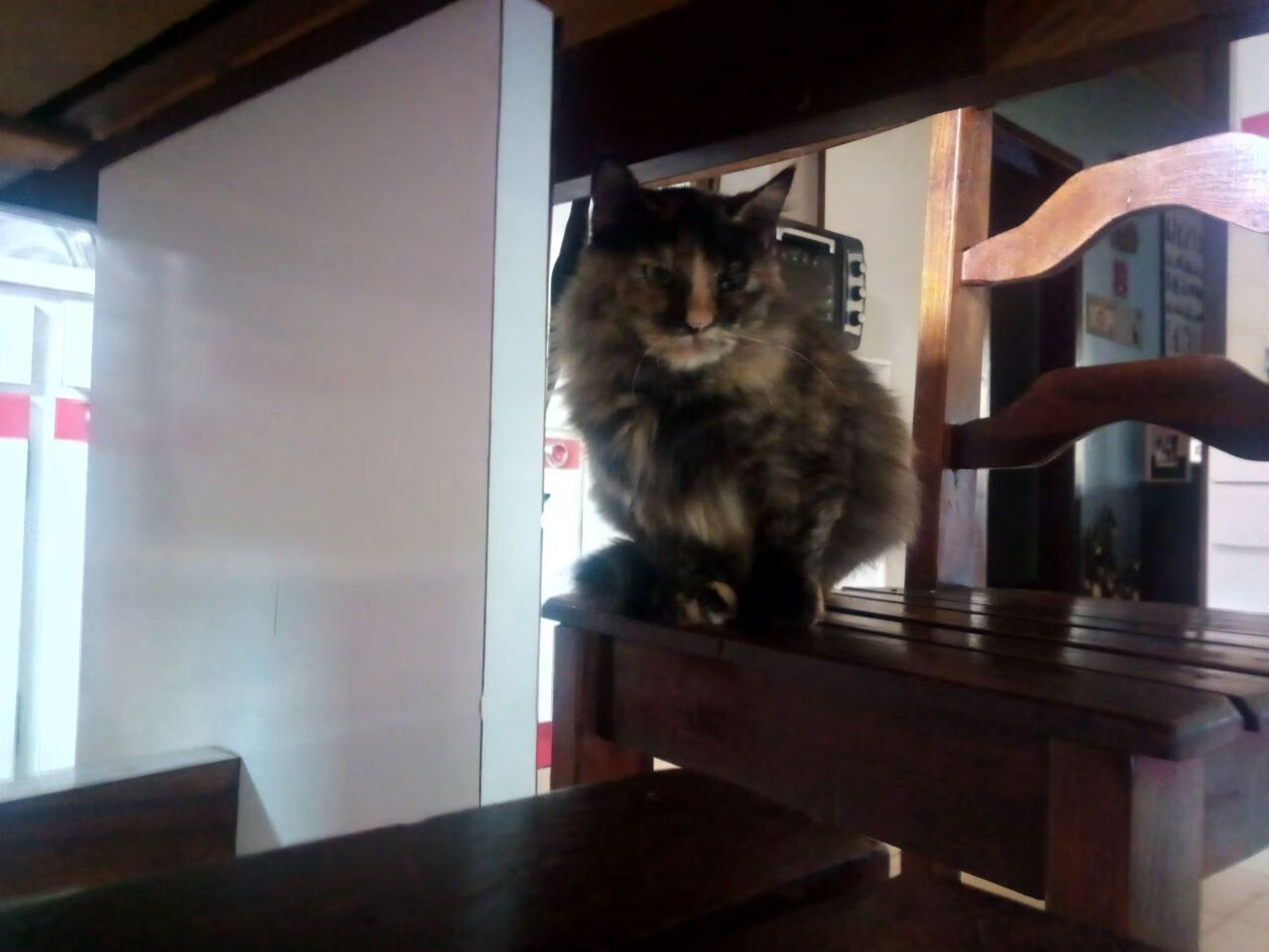 史上最大“黑马崛起”：逆境中夺冠的奇迹，黑马逆袭的例子