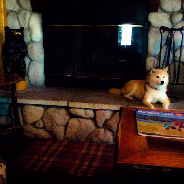 日本逆转胜,激情燃爆全场!,日本上演惊天逆转