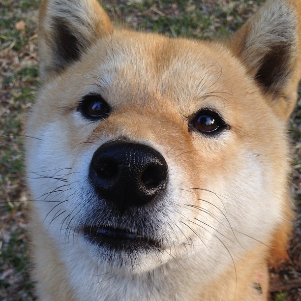 九游娱乐APP-新规公布：扩大比赛参与范围的新措施，扩展赛制