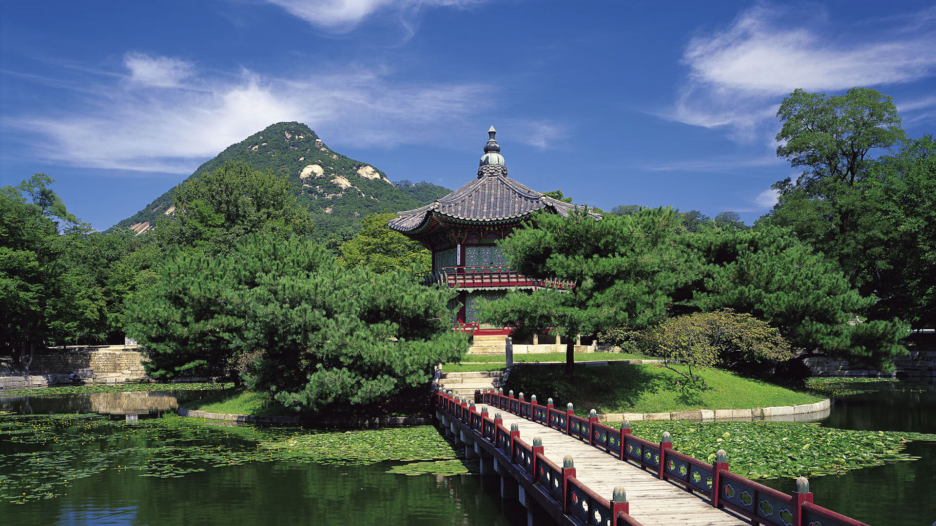 九游app官网下载-科迪·加克波和多尼尔·马伦在对阵罗马尼亚的比赛中各有建树，助荷兰队晋级八强。