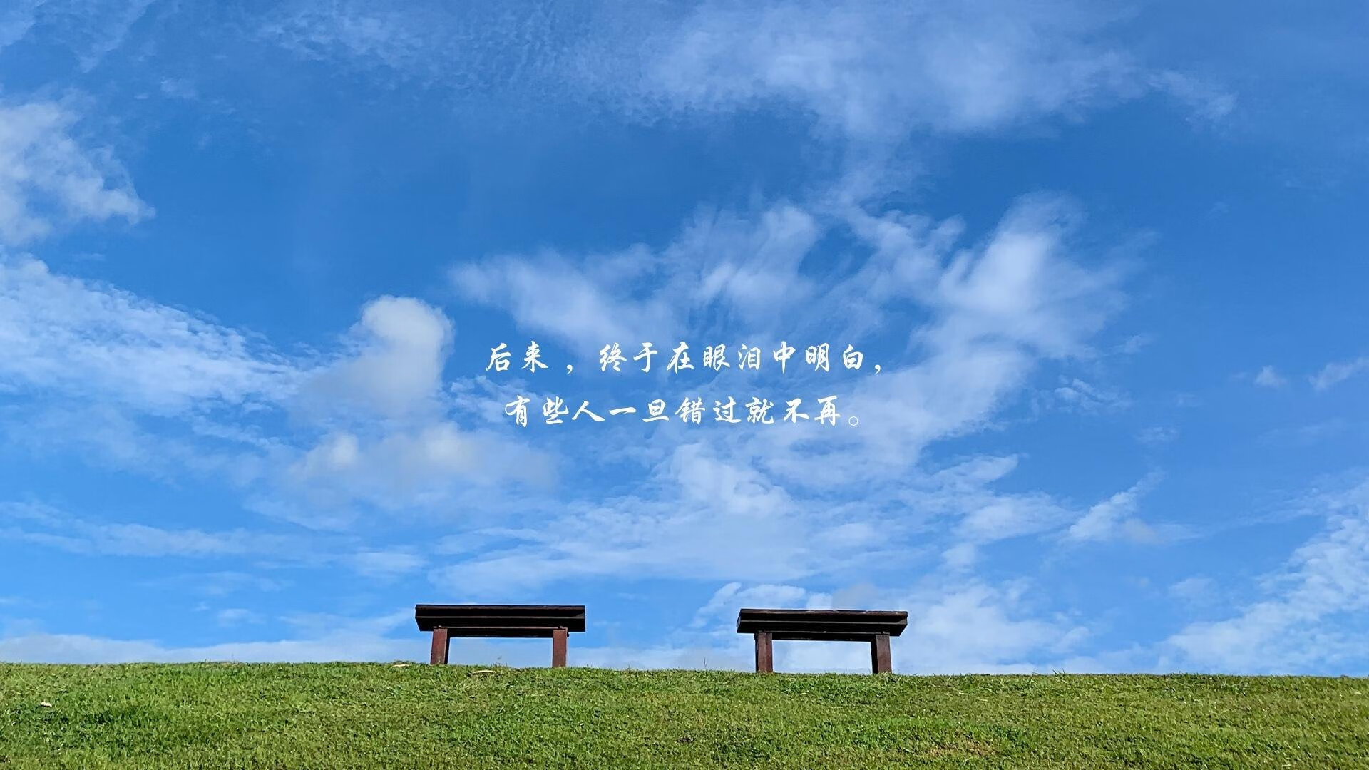 科迪·加克波和多尼尔·马伦在对阵罗马尼亚的比赛中各有建树，助荷兰队晋级八强。