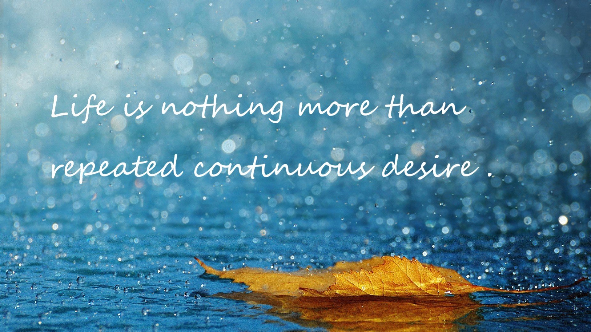 终场“绝杀夜”:欧洲战场上的经典收官瞬间,欧洲电影绝杀