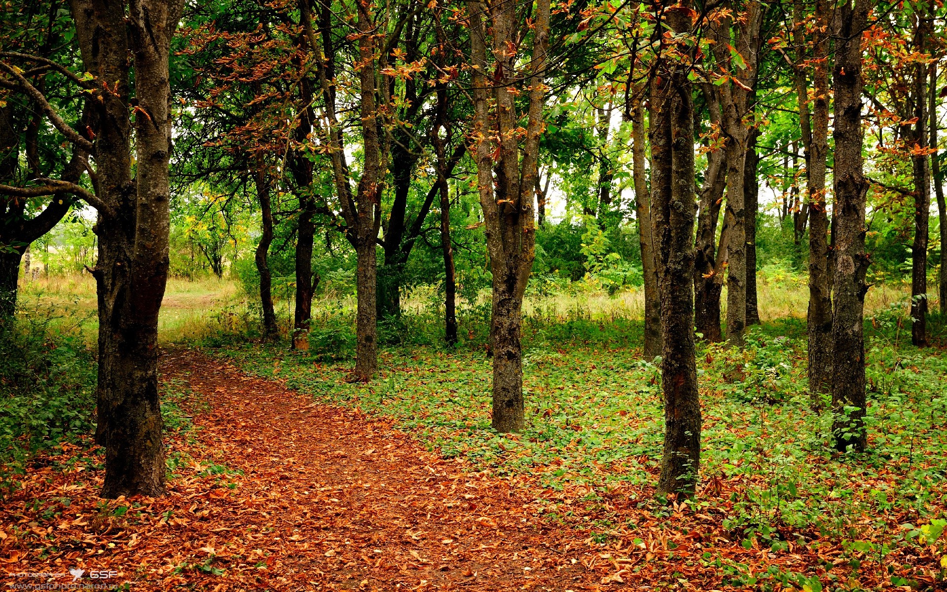 九游用户空间-美国男足在巴黎奥运会比赛中以2-1战胜葡萄牙，美国足球队奥运会