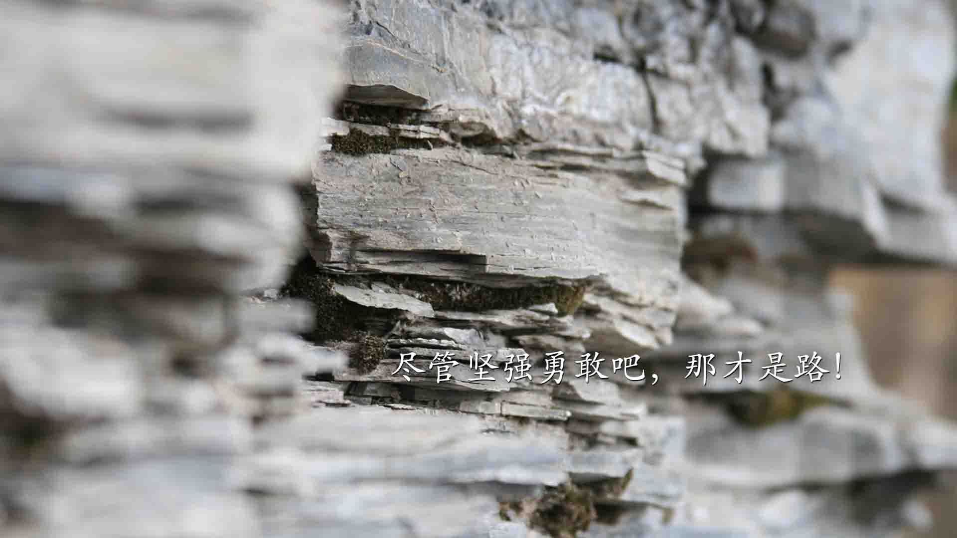 亚洲联赛积分榜竞争激烈，亚洲联赛积分排名