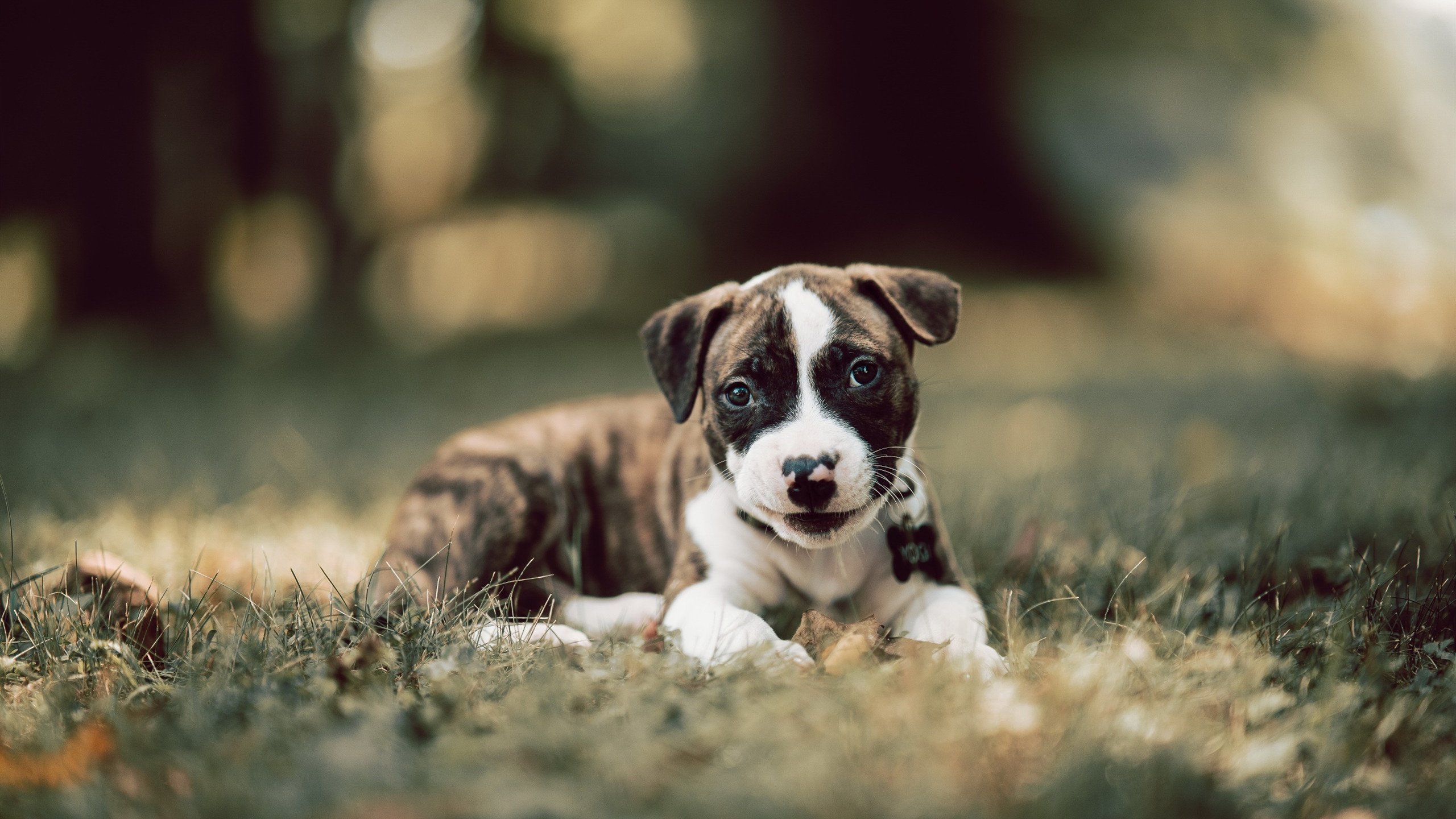 广州队士气高涨,毫不弱于对手实力,广州队比赛集锦