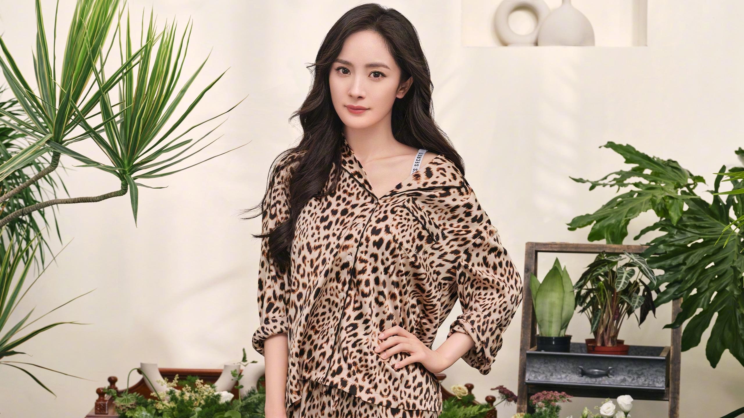 法甲是否有望提升对欧洲赛事的统治力，法甲球队欧战成绩