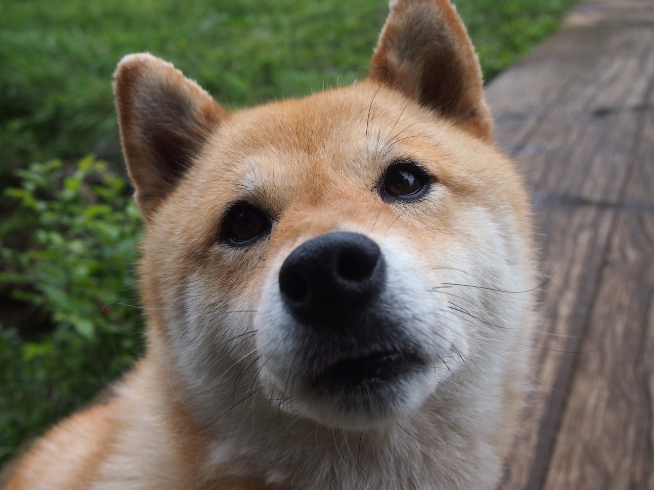 九游游戏中心-首尔SK骑士球员健康状况良好，首尔sk骑士比赛