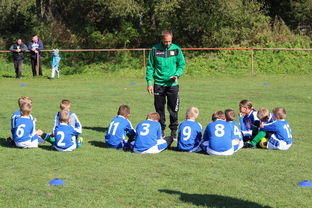 Jiuyou-中国篮球教练员战术创新能力培养及培训机制探讨，篮球教练员素养