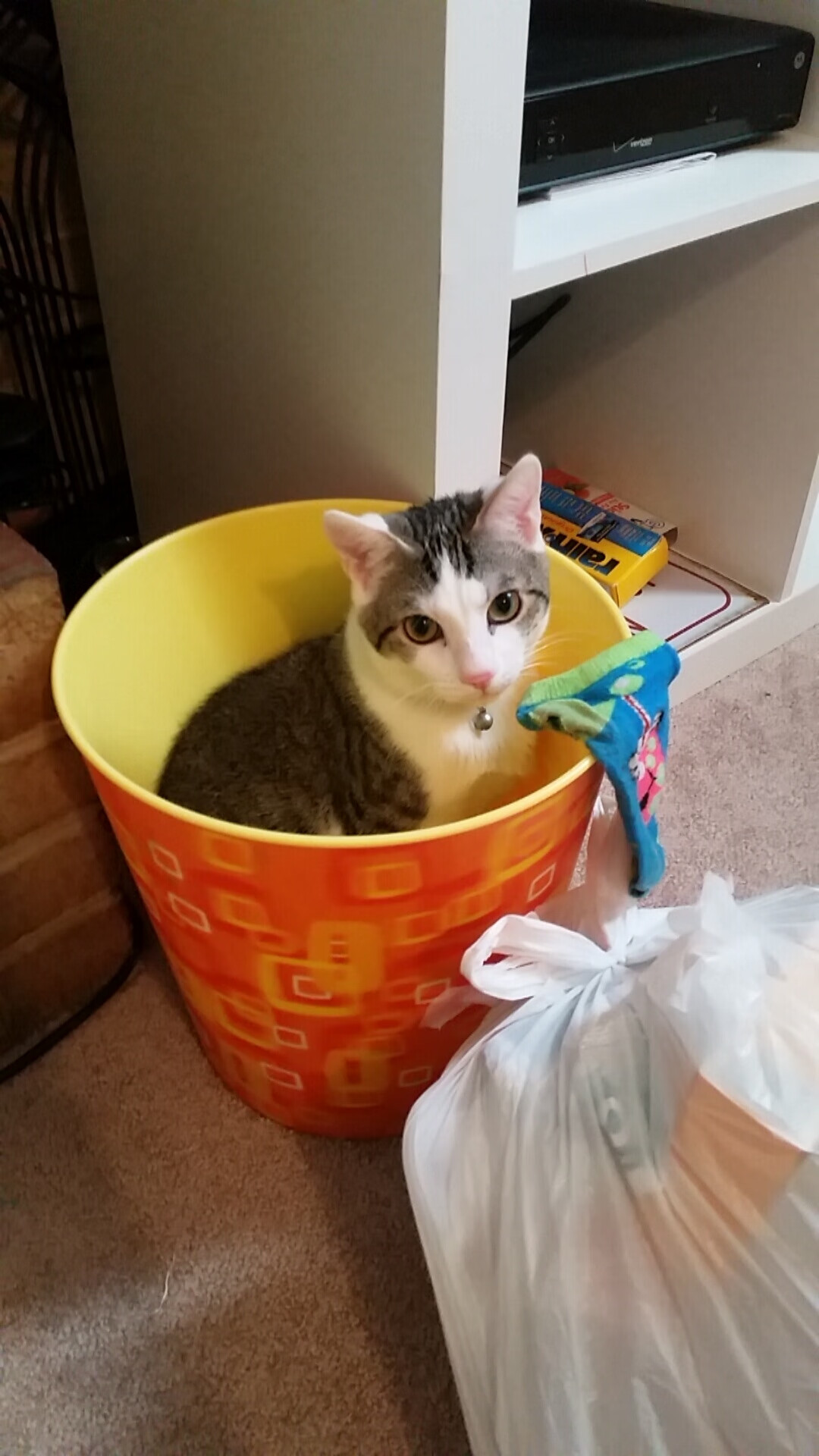 中国篮球职业联赛市场营销策略分析，篮球的市场营销