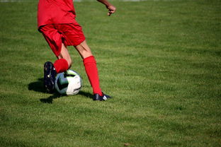 九游娱乐官网 (JIUYOU)-中国篮球青年运动员选拔体系研究，中国篮球国家青年队选拔方式