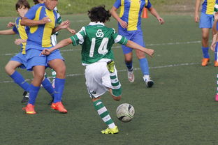 九游（jiuyou.com）游戏-中国足球高密度传控战术回合成功统计，中国足球高密度传控战术回合成功统计