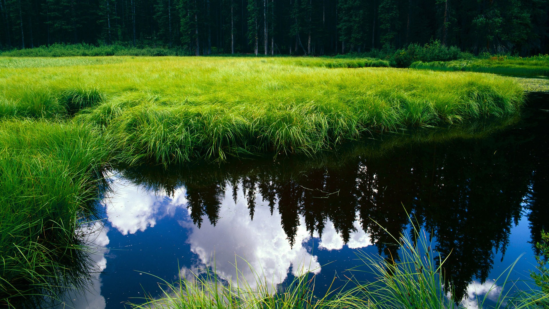 体育新闻中心参与全国体育新闻报道质量提升行动，体育新闻报道范文大全