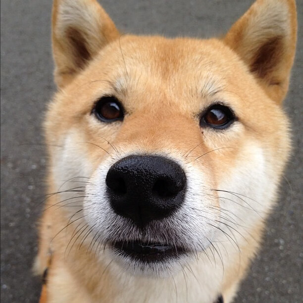 -体育新闻中心运动项目普及，体育类新闻报道