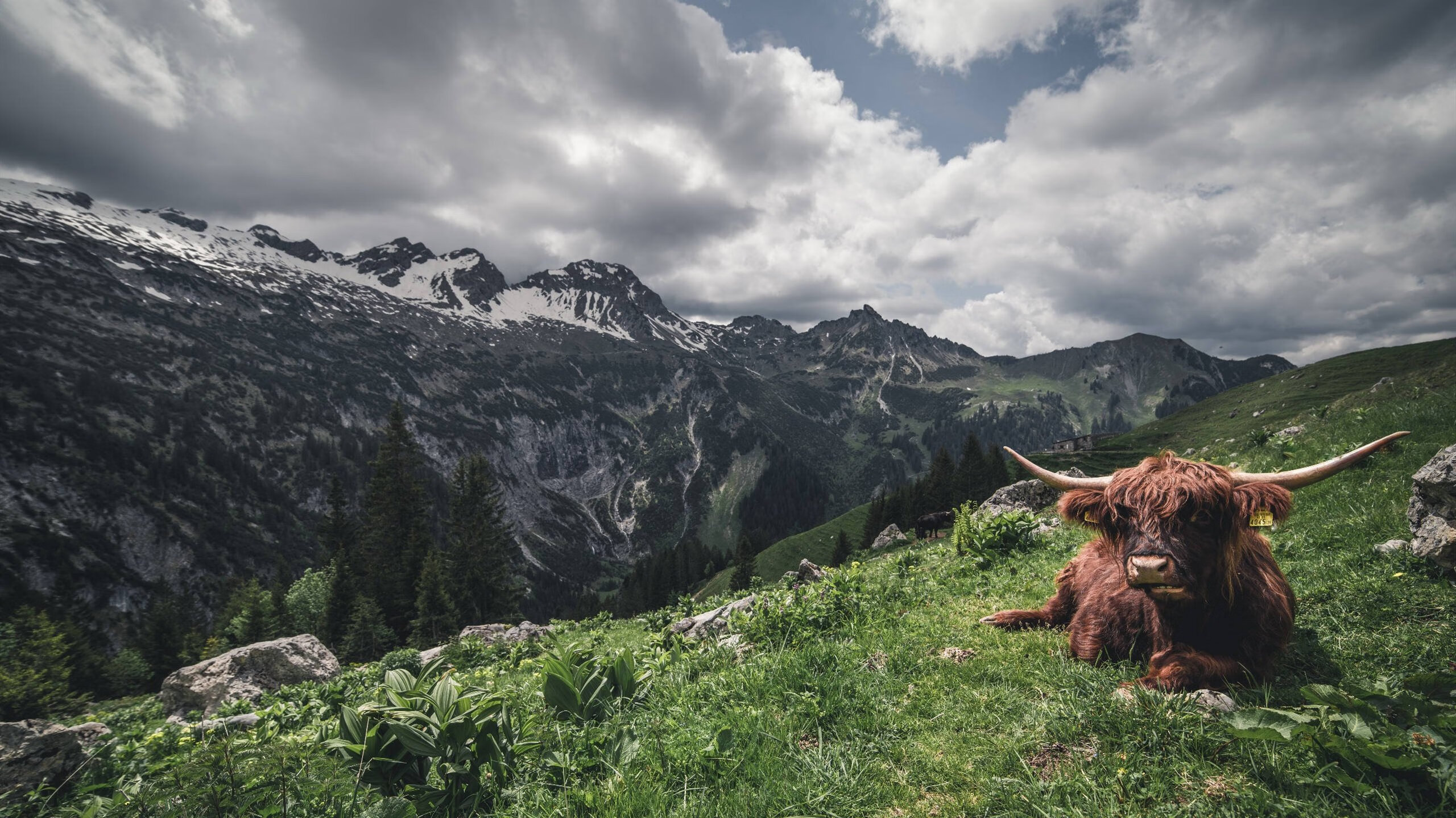 九游(jiuyou)官方网站-意甲绝佳配合：团队合作的艺术展现，意甲官方最佳阵容