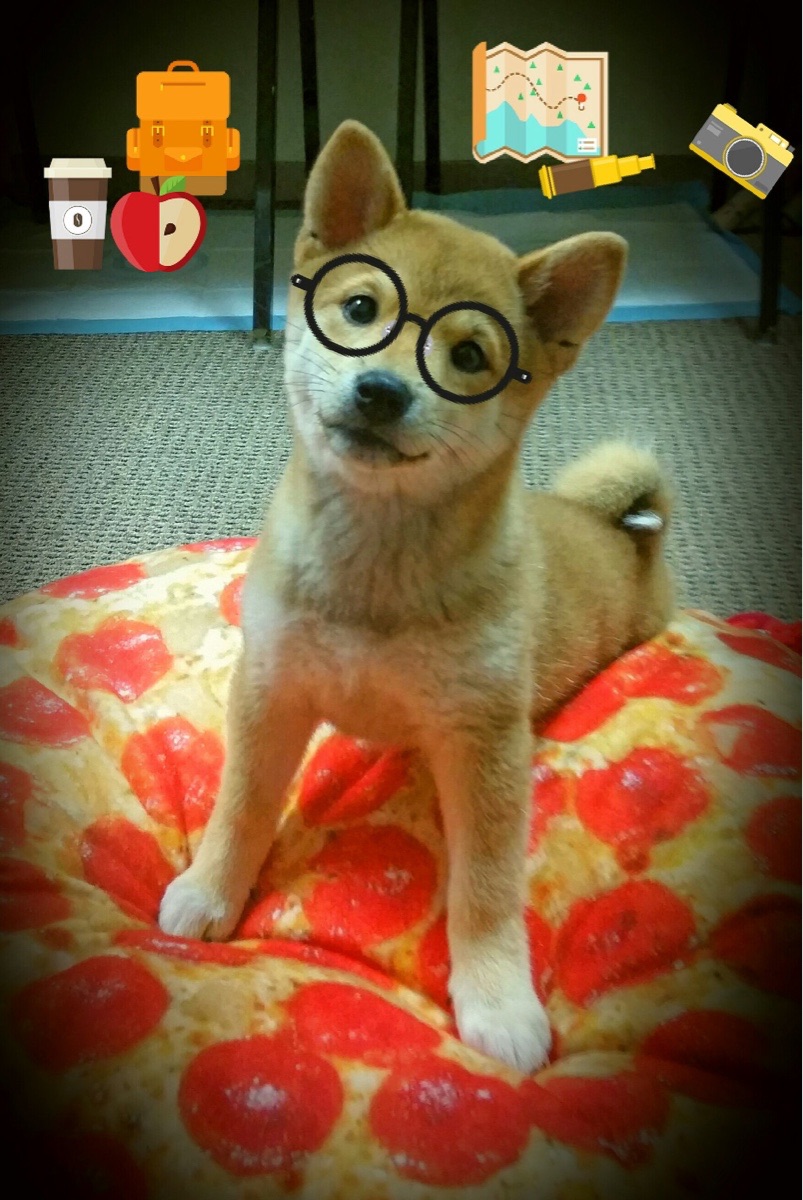 欧洲杯逆转奇迹:战术布置让对方束手无策,欧洲杯逆转经典