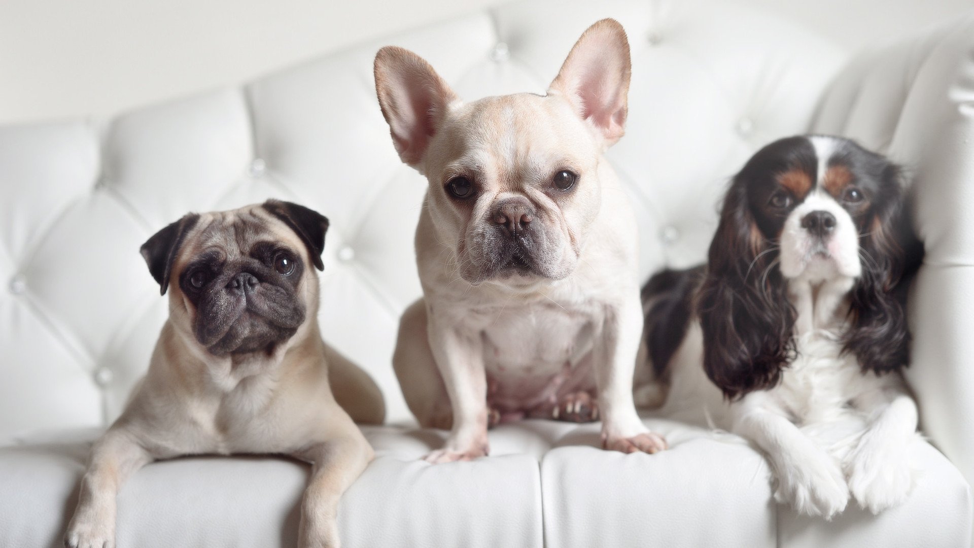 九游娱乐(jiuyou)官网-混合泳速度与技巧兼备摩纳哥实力显著，混合泳视频欣赏