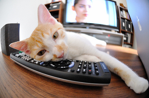 美洲杯明星闪耀全场：激情十大瞬间！，美洲杯有哪些明星