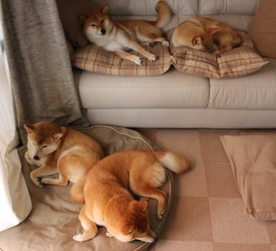 职业联赛推动教练公开课机制打造专业分享平台,竞赛教练培训