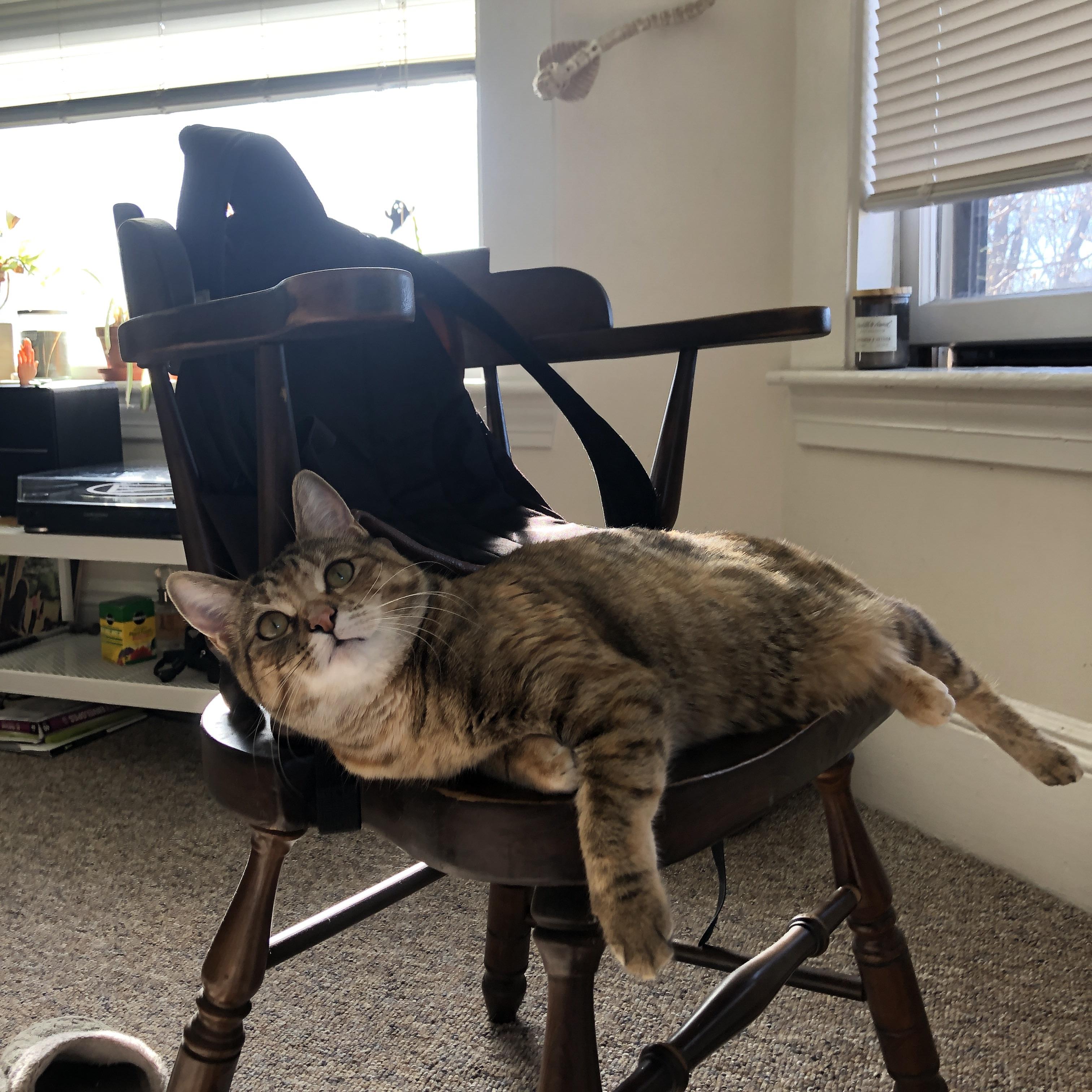 九游下载中心-英国男子接力决赛展现冠军风范，英国男子接力4x100