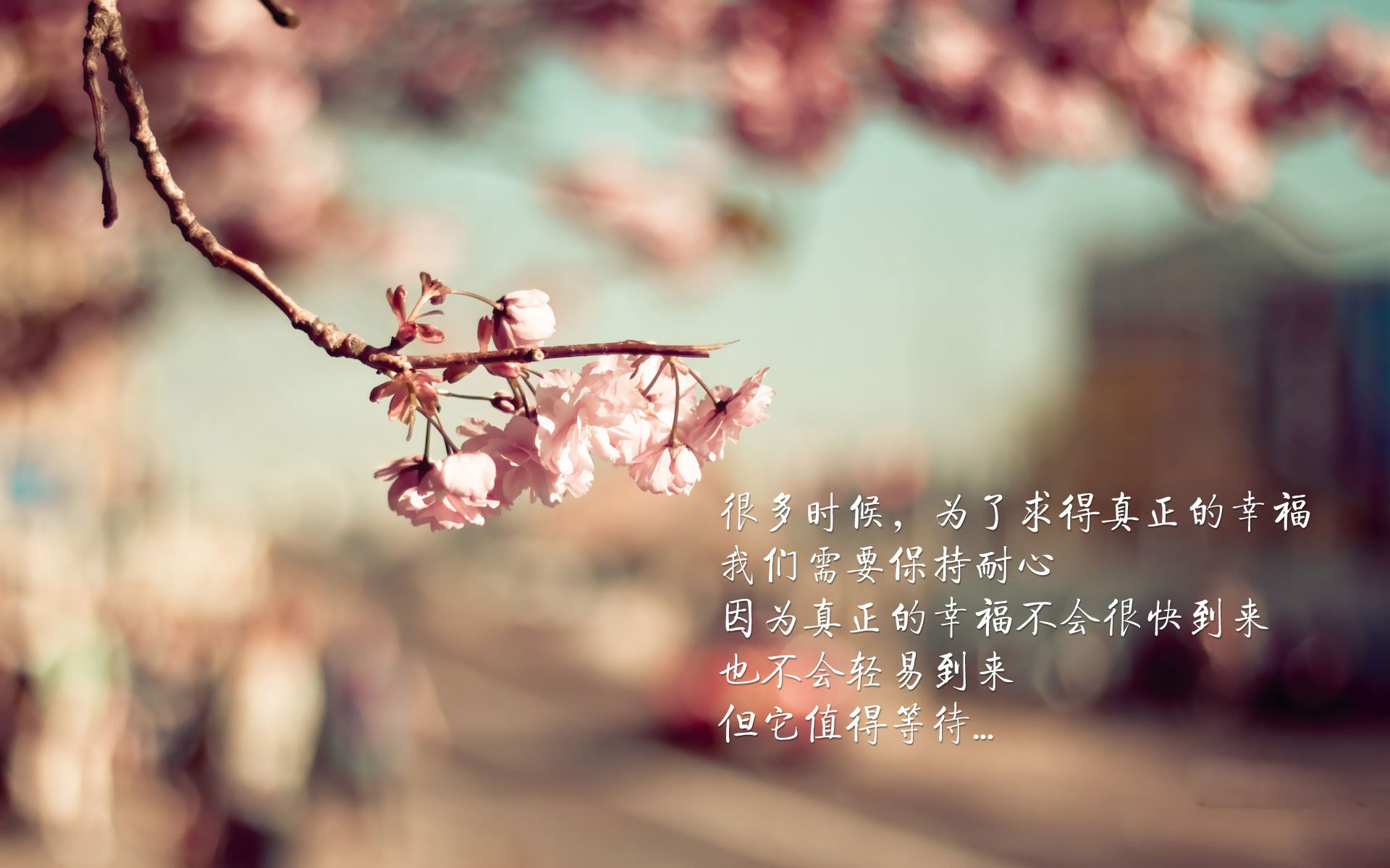 马里特·斯滕伯根赛后分享备战心得,马滕斯特克伦博赫